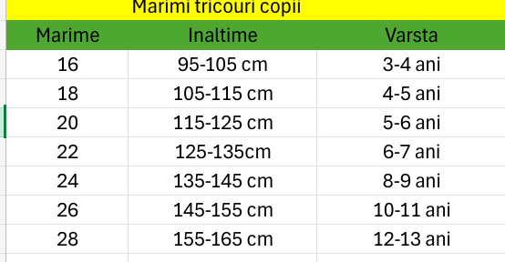 AC MILAN, tricouri, player edition,2024-2025!