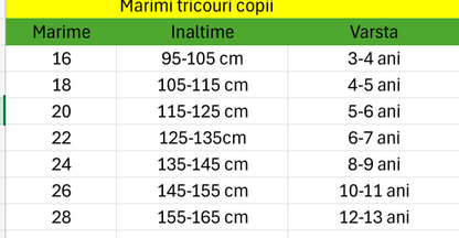 AC MILAN, tricouri, player edition,2024-2025!