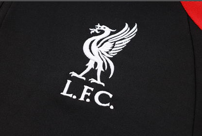 Liverpool, trening antrenament, copii si adulti.